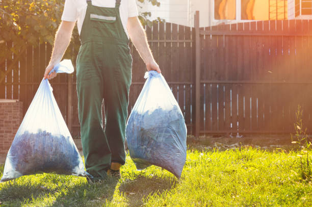 Best Donation Pickup Services  in Safford, AZ